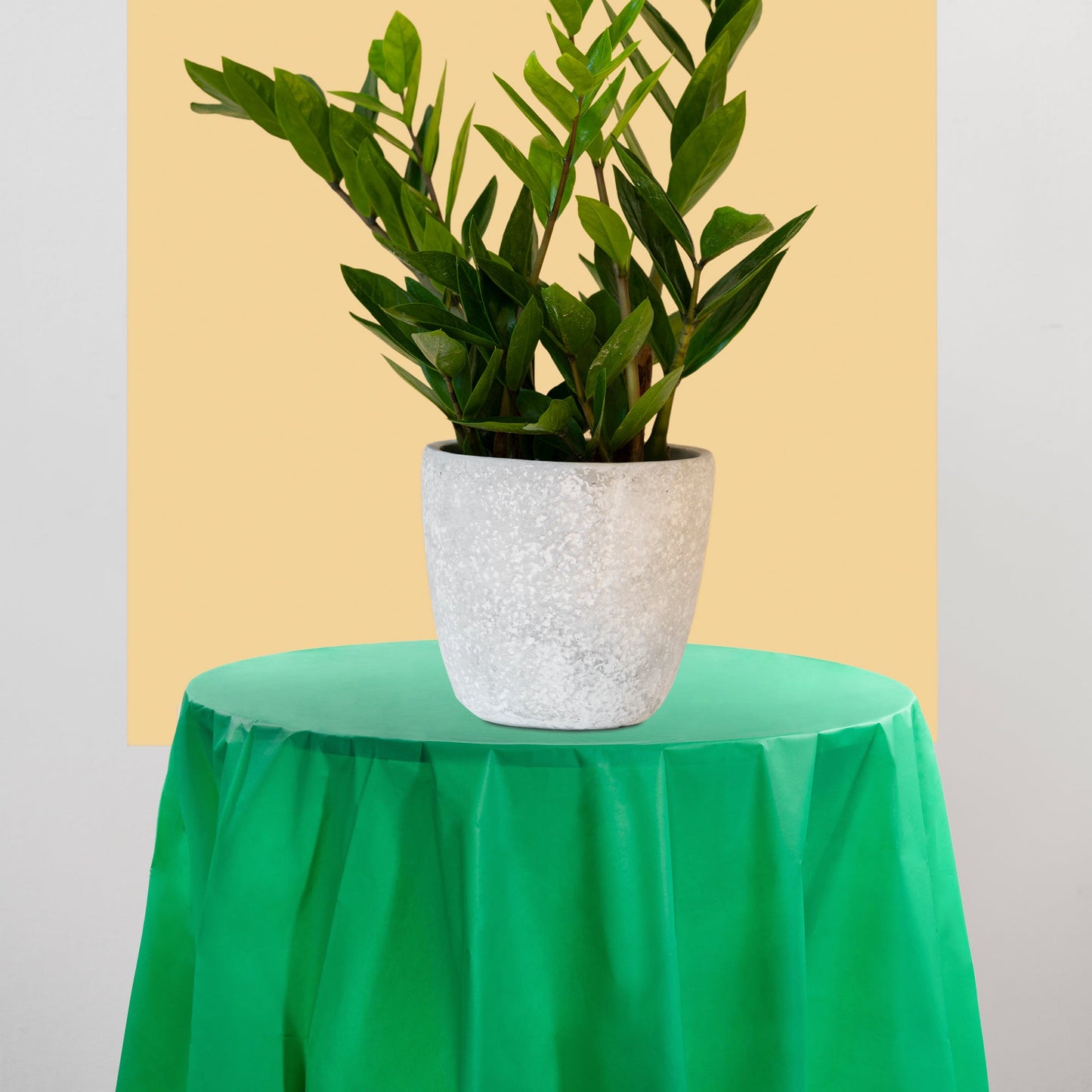 Hunter Green Round Tablecloths brought a forest-inspired vibe to rustic setups.