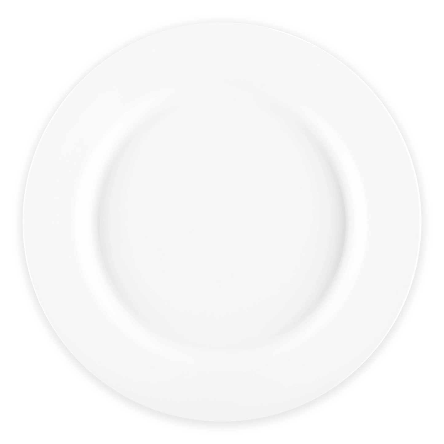 Matte milk white round disposable plastic dinner plates, 10-inch diameter