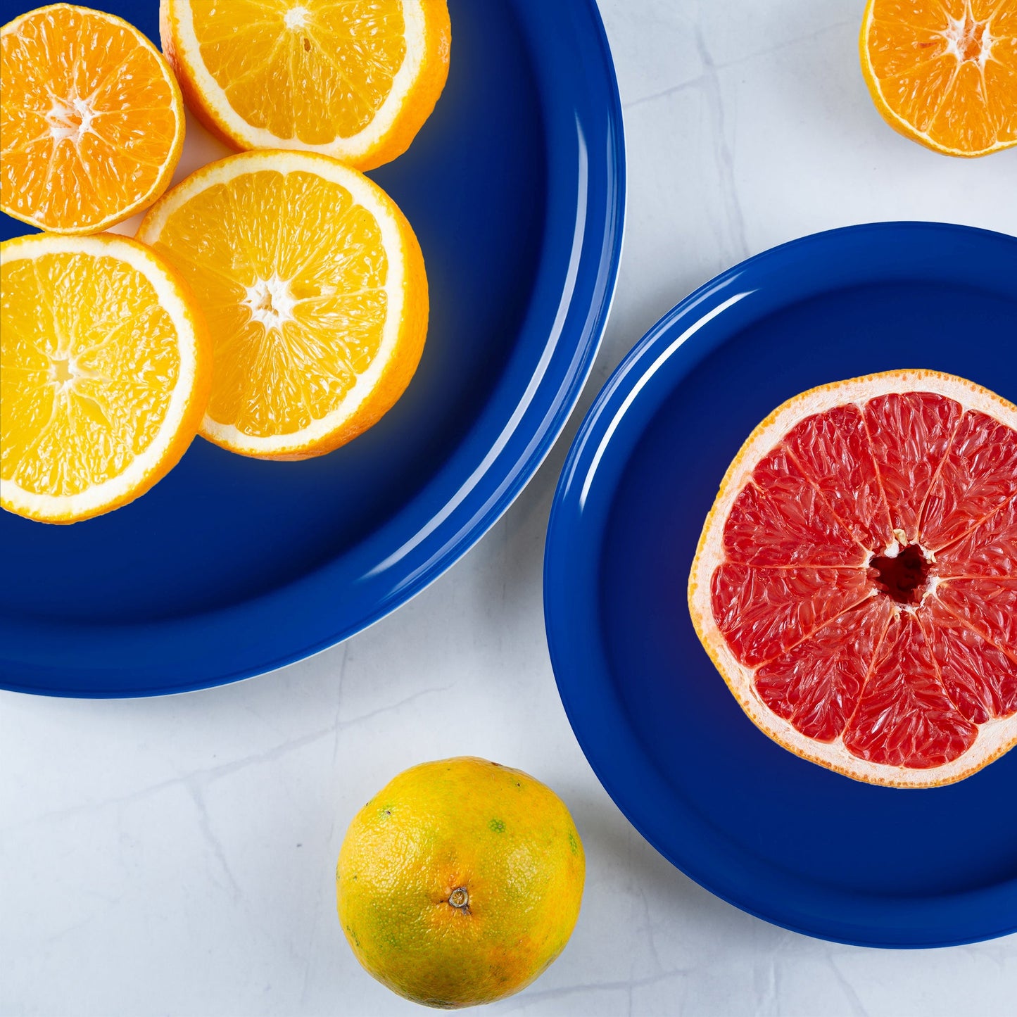 Solid Blue Dinner Plates served grilled entrees at a coastal-themed event with vibrant accents.