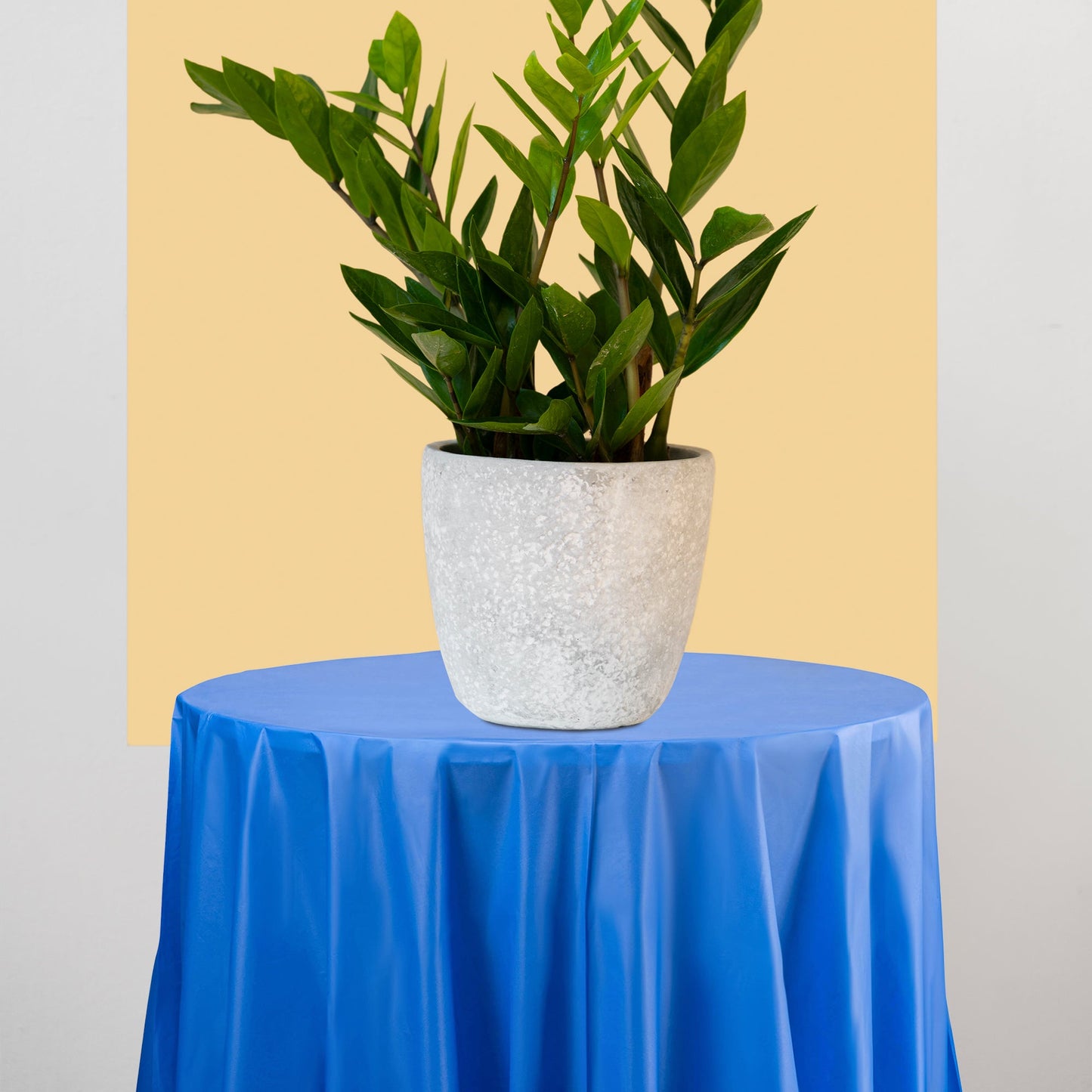 84" plastic covers in navy provided a polished and moody look for dinners.