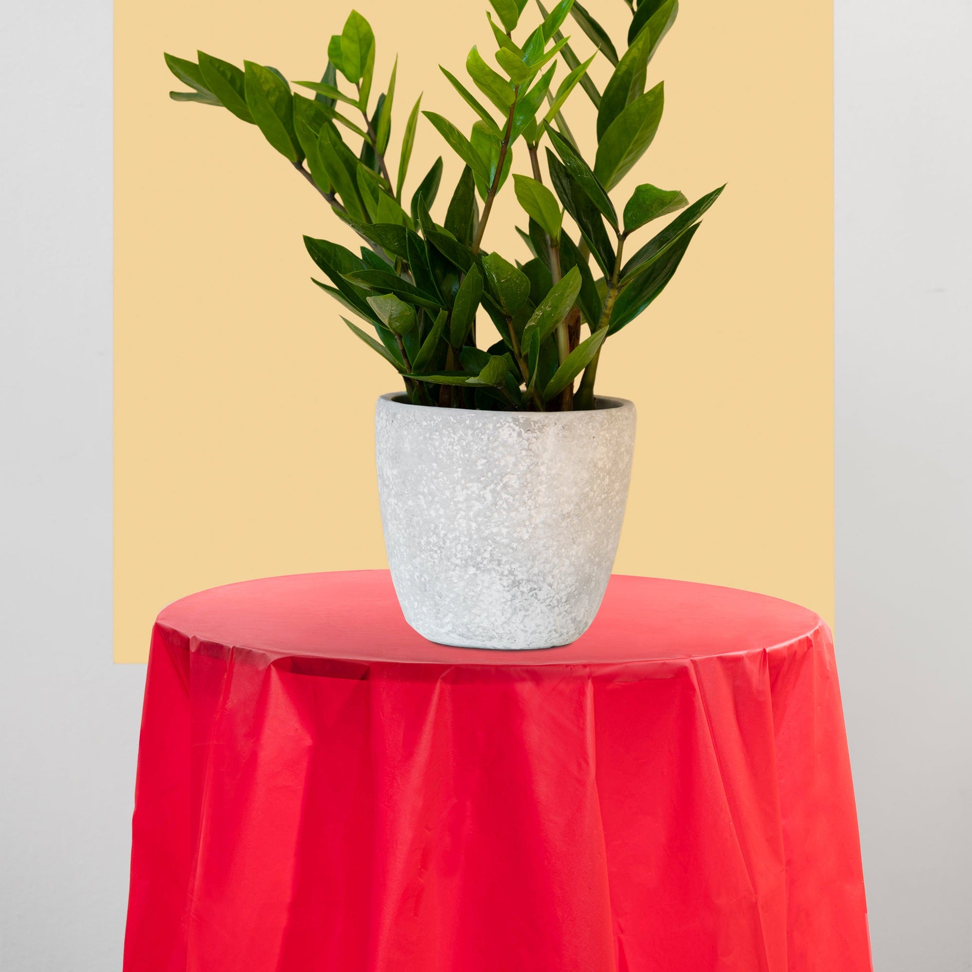 Red Tablecloths in round shape covered tables at romantic and holiday-themed dinners.